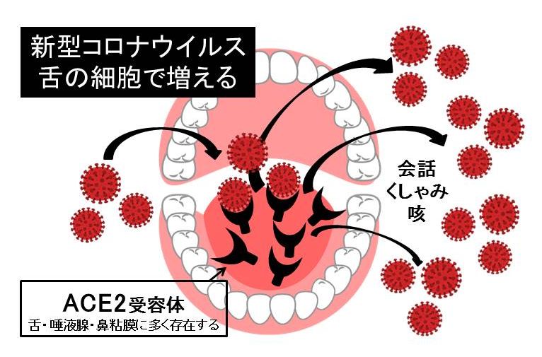新型コロナウイルス感染症