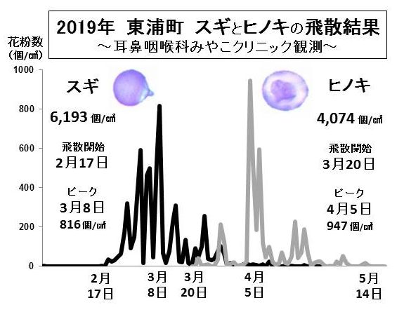 2019年春の花粉は多かった！